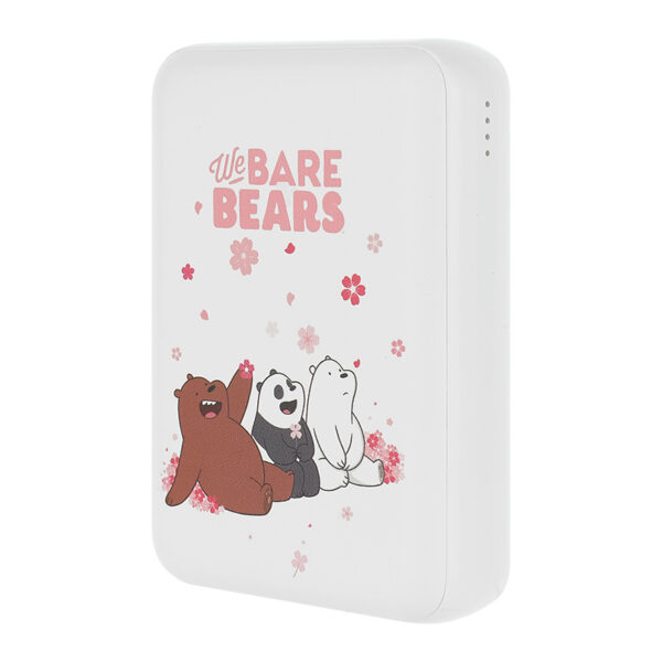 we bear bear miniso