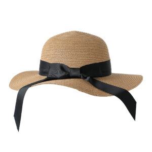 Basic Bowknot Straw Hat (Dark Brown)