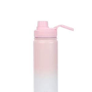Sakura Pink Series Sports Double Wall Steel Bottle with Handle 550mL