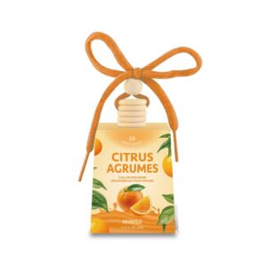 Charming Hanging Series Car Air Freshener(Citrus)